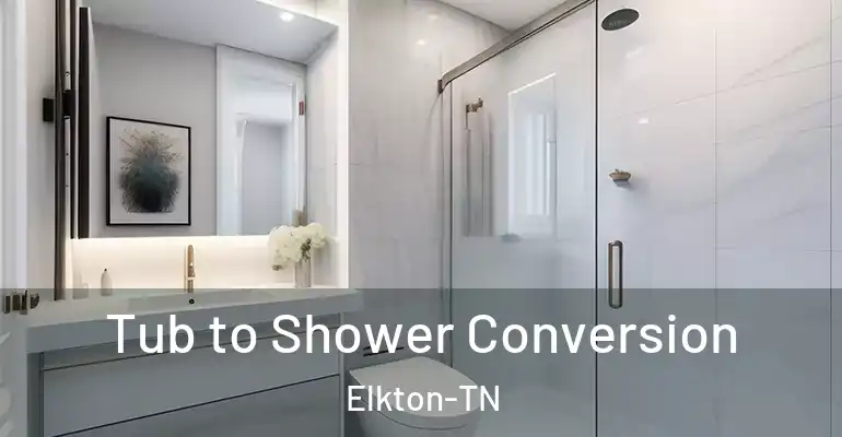 inner Bathroom imggen Tub to Shower Conversion Elkton-TN