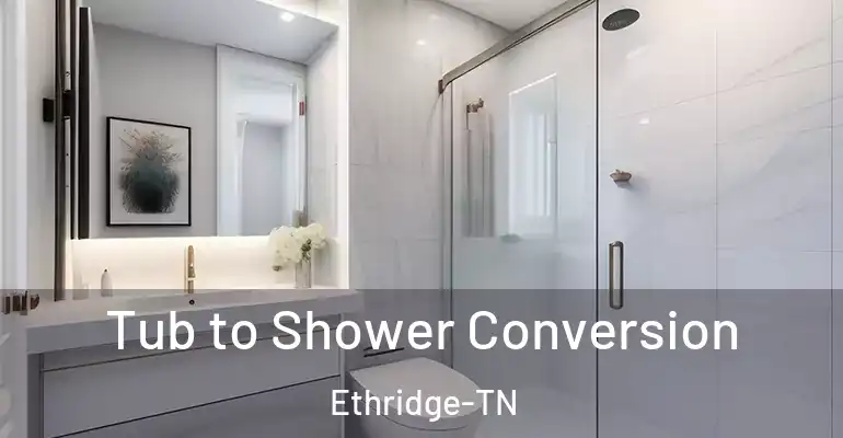 inner Bathroom imggen Tub to Shower Conversion Ethridge-TN