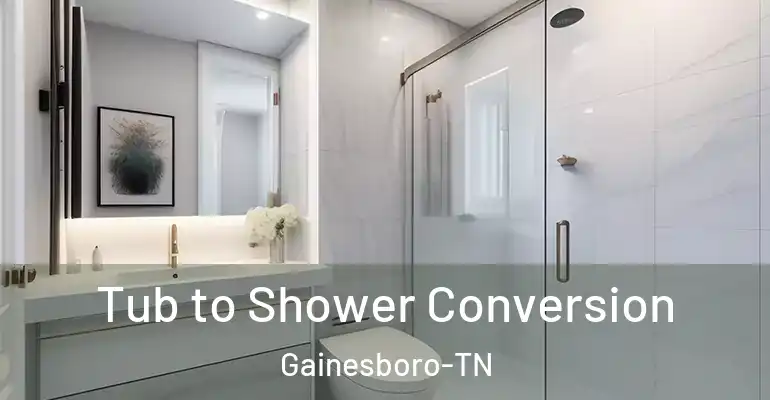 inner Bathroom imggen Tub to Shower Conversion Gainesboro-TN