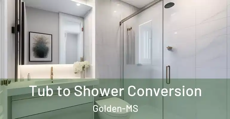 inner Bathroom imggen Tub to Shower Conversion Golden-MS