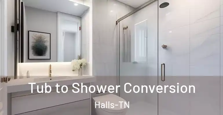 inner Bathroom imggen Tub to Shower Conversion Halls-TN