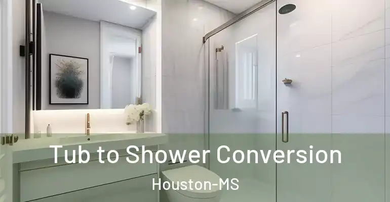 inner Bathroom imggen Tub to Shower Conversion Houston-MS