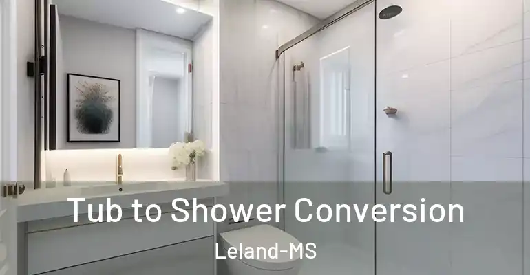 inner Bathroom imggen Tub to Shower Conversion Leland-MS