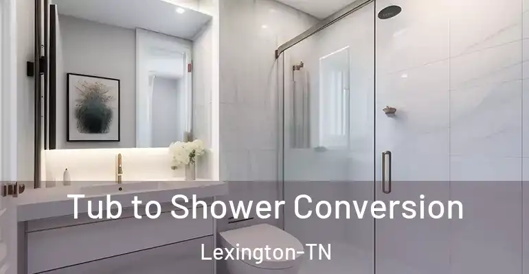 inner Bathroom imggen Tub to Shower Conversion Lexington-TN