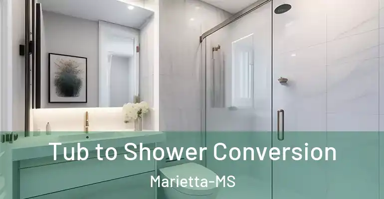 inner Bathroom imggen Tub to Shower Conversion Marietta-MS