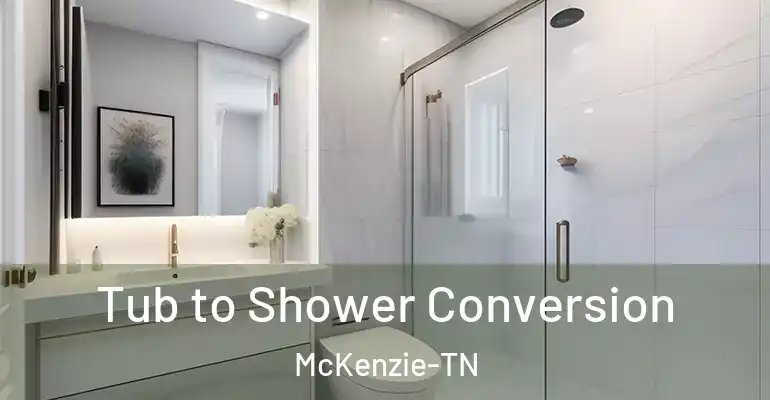 inner Bathroom imggen Tub to Shower Conversion McKenzie-TN