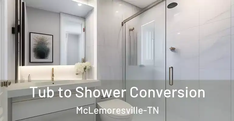 inner Bathroom imggen Tub to Shower Conversion McLemoresville-TN