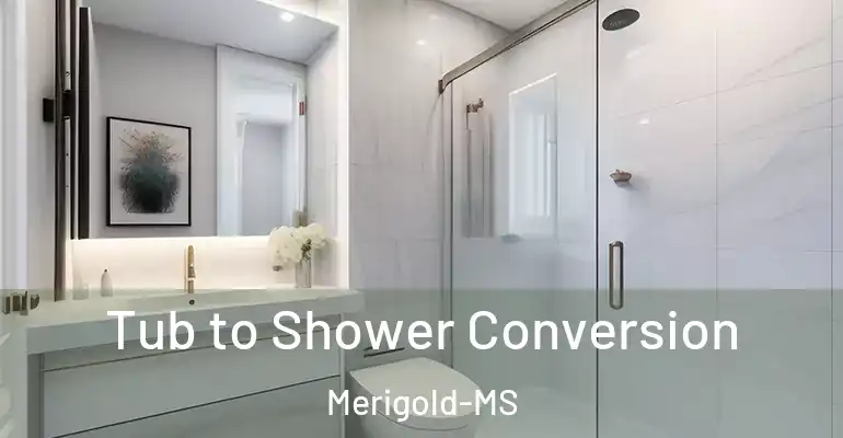 inner Bathroom imggen Tub to Shower Conversion Merigold-MS