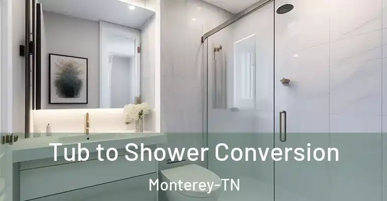 inner Bathroom imggen Tub to Shower Conversion Monterey-TN