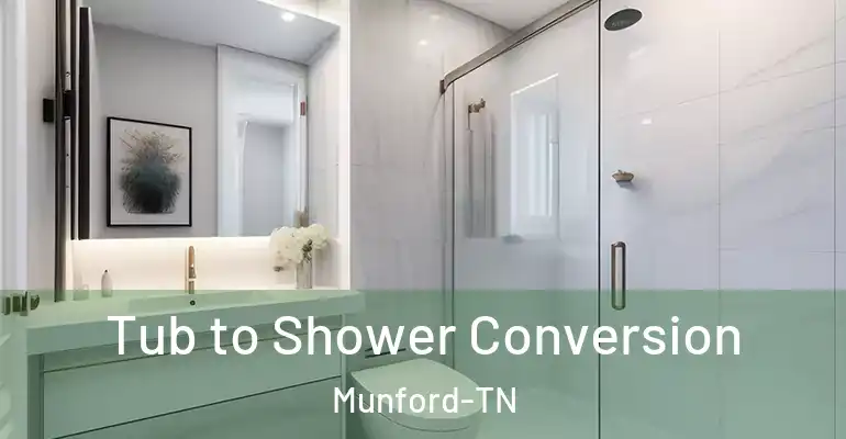 inner Bathroom imggen Tub to Shower Conversion Munford-TN