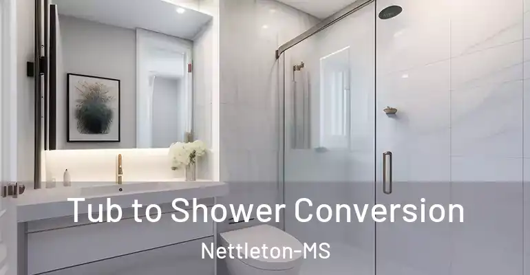 inner Bathroom imggen Tub to Shower Conversion Nettleton-MS