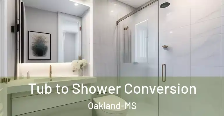 inner Bathroom imggen Tub to Shower Conversion Oakland-MS