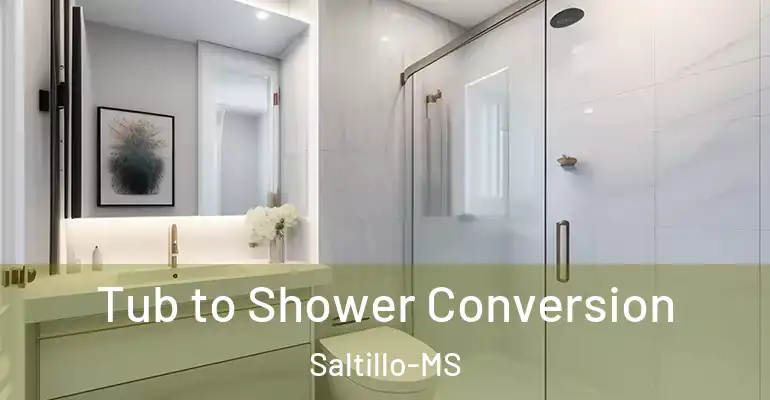 inner Bathroom imggen Tub to Shower Conversion Saltillo-MS