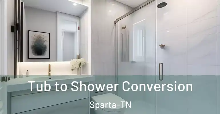 inner Bathroom imggen Tub to Shower Conversion Sparta-TN