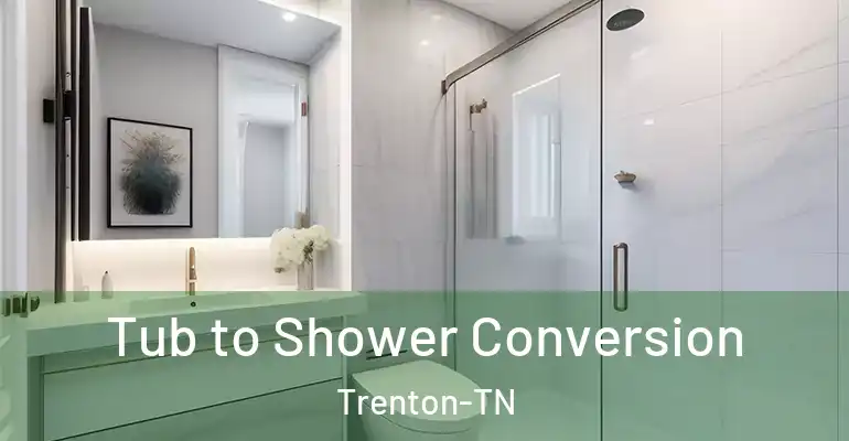 inner Bathroom imggen Tub to Shower Conversion Trenton-TN