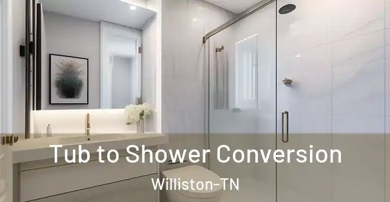 inner Bathroom imggen Tub to Shower Conversion Williston-TN