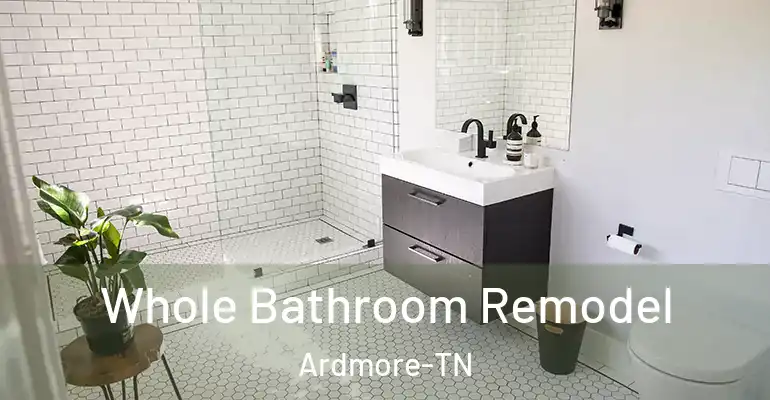 inner Bathroom imggen Whole Bathroom Remodel Ardmore-TN