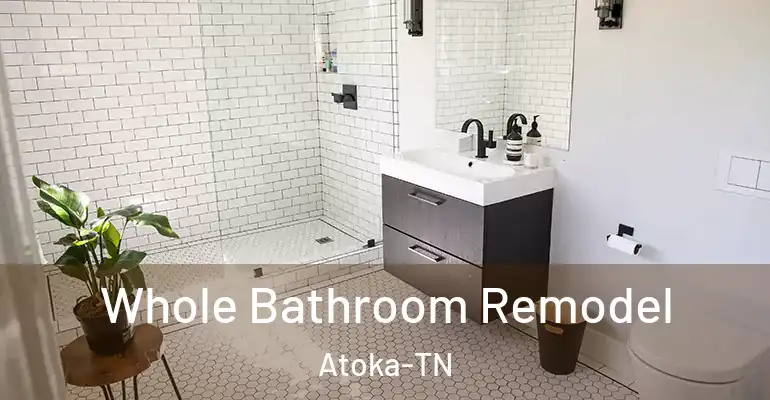 inner Bathroom imggen Whole Bathroom Remodel Atoka-TN