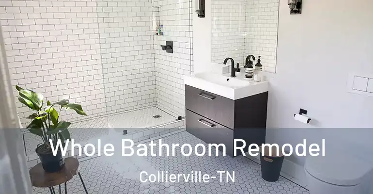 inner Bathroom imggen Whole Bathroom Remodel Collierville-TN