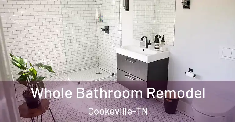inner Bathroom imggen Whole Bathroom Remodel Cookeville-TN