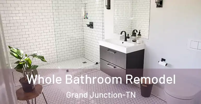 inner Bathroom imggen Whole Bathroom Remodel Grand Junction-TN