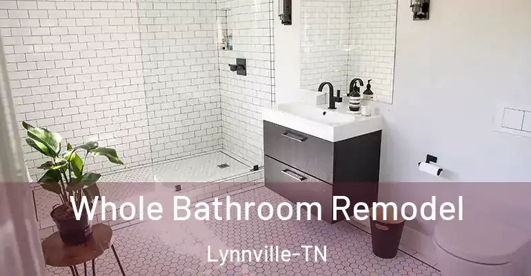 inner Bathroom imggen Whole Bathroom Remodel Lynnville-TN