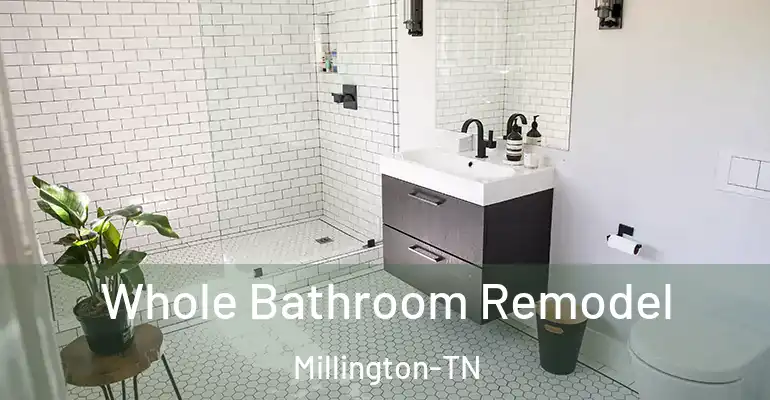 inner Bathroom imggen Whole Bathroom Remodel Millington-TN