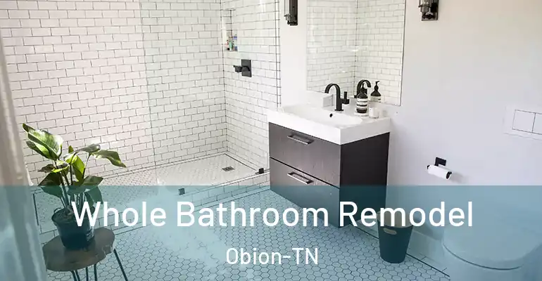 inner Bathroom imggen Whole Bathroom Remodel Obion-TN