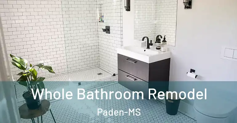 inner Bathroom imggen Whole Bathroom Remodel Paden-MS