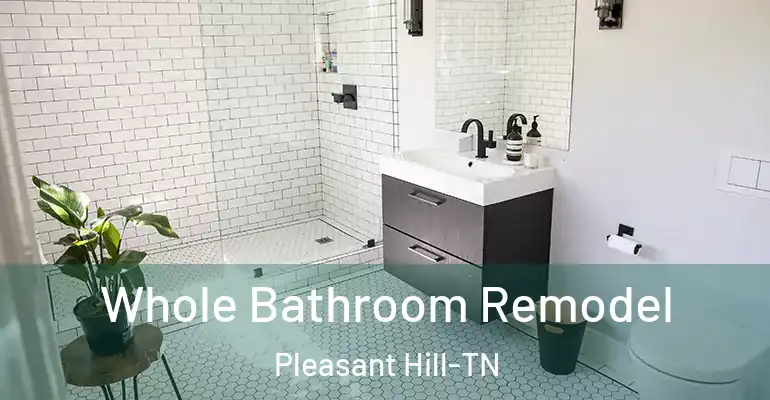 inner Bathroom imggen Whole Bathroom Remodel Pleasant Hill-TN