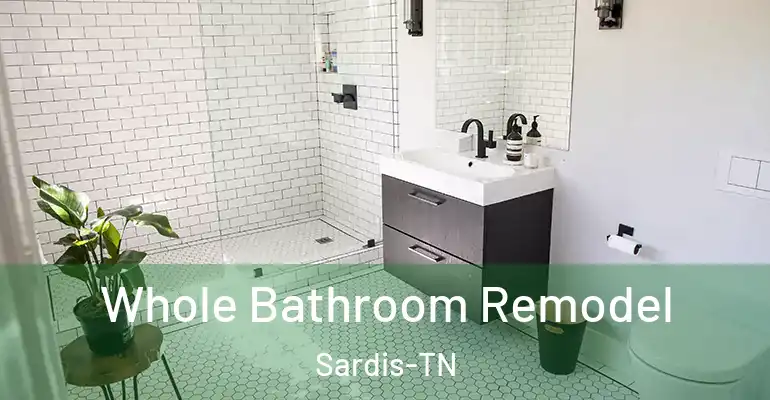 inner Bathroom imggen Whole Bathroom Remodel Sardis-TN