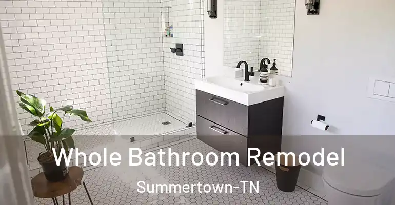 inner Bathroom imggen Whole Bathroom Remodel Summertown-TN