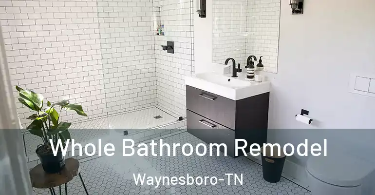 inner Bathroom imggen Whole Bathroom Remodel Waynesboro-TN