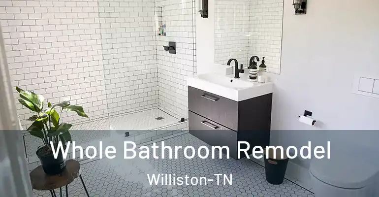 inner Bathroom imggen Whole Bathroom Remodel Williston-TN
